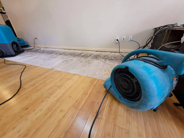 Reliable Crawl Space Water Removal contractor in Harrison Township, MI by Hirex Water Damage