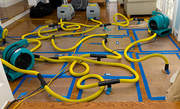 Professional Crawl Space Water Removal technician working in Harrison Township, MI